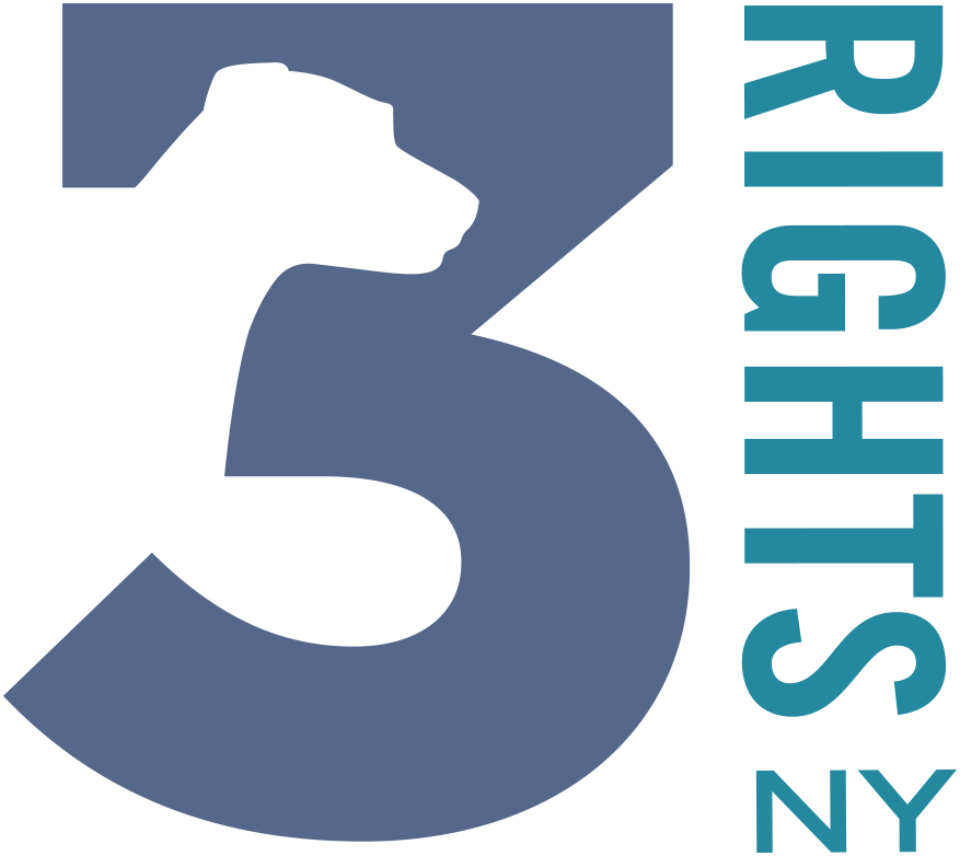 3 Rights NY